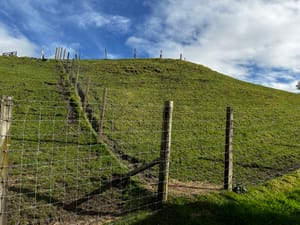 A typical New Zealand hill